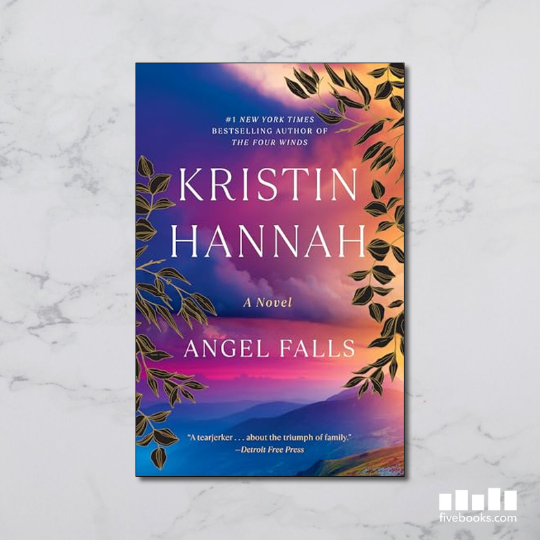 Angel Falls: A Novel - Five Books Expert Reviews