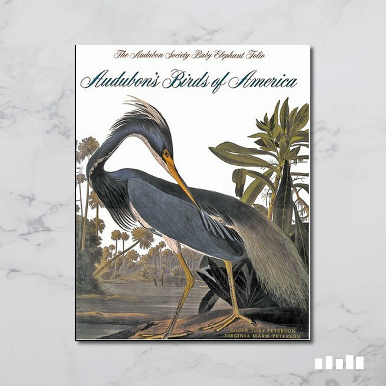 Audubon's Birds Of America - Five Books Expert Reviews