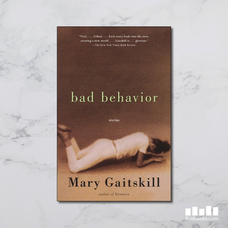 Bad Behavior: Stories - Five Books Expert Reviews