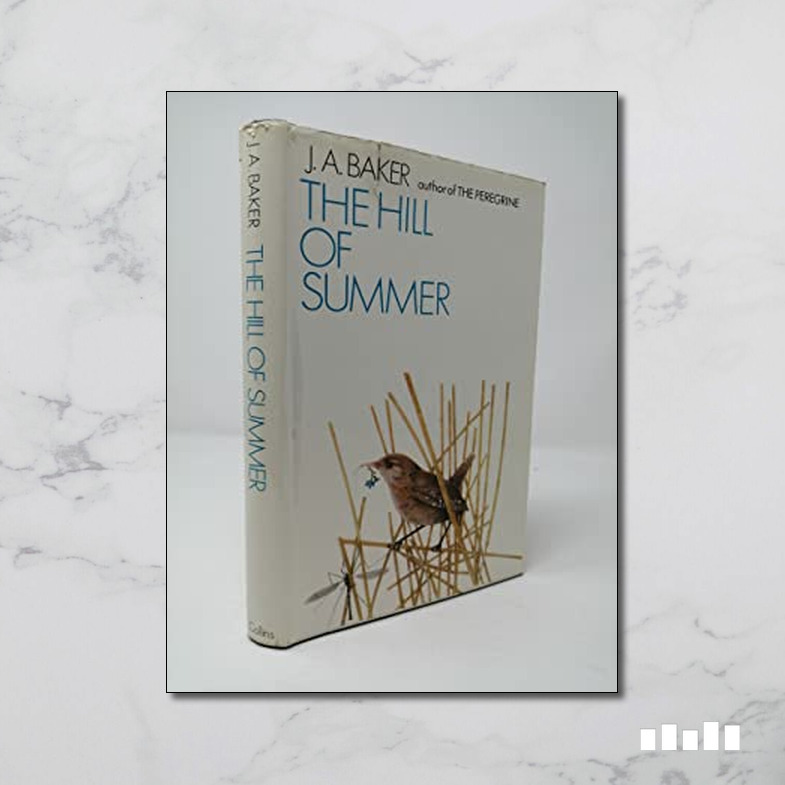 The Hill of Summer - Five Books Expert Reviews