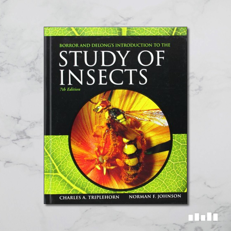 phd in study of insects