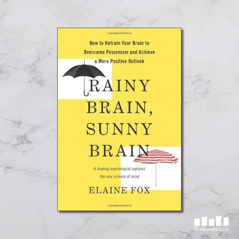Rainy Brain, Sunny Brain - Five Books Expert Reviews