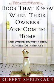Dogs That Know When Their Owners are Coming Home by Rupert Sheldrake Dogs That Know When Their Owners are Coming Home by Rupert Sheldrake