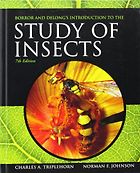 The best books on Bugs - Introduction to the Study of Insects by Charles Triplehorn and Norman F Johnson