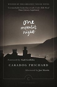 Coming of Age Novels - One Moonlit Night (Un Nos Ola Leuad) by Caradog Prichard Coming of Age Novels - One Moonlit Night (Un Nos Ola Leuad) by Caradog Prichard