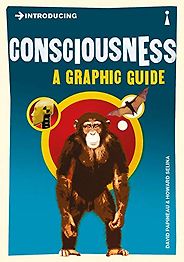 Consciousness for Beginners: the best book - Introducing Consciousness: A Graphic Guide by David Papineau & Howard Selina Consciousness for Beginners: the best book - Introducing Consciousness: A Graphic Guide by David Papineau & Howard Selina