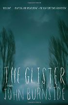 Irvine Welsh recommends the best Crime Novels - The Glister by John Burnside