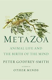 The Best Philosophy Books of 2020 - Metazoa: Animal Life and the Birth of the Mind by Peter Godfrey-Smith The Best Philosophy Books of 2020 - Metazoa: Animal Life and the Birth of the Mind by Peter Godfrey-Smith