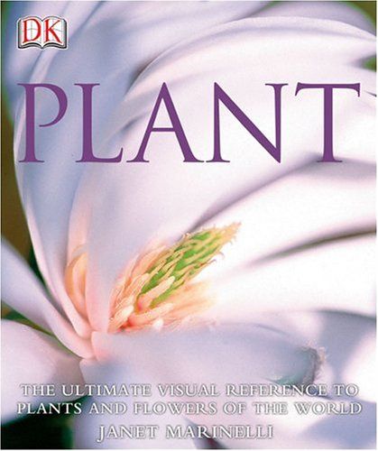 Plant by Janet Marinelli