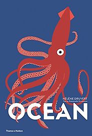 The Best Children’s Nonfiction of 2018 - Ocean by Emmanuelle Grundmann & Hélène Druvert The Best Children’s Nonfiction of 2018 - Ocean by Emmanuelle Grundmann & Hélène Druvert