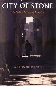 The best books on Divided Cities - City of Stone by M Benvenisti The best books on Divided Cities - City of Stone by M Benvenisti