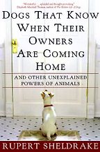 The best books on Premonitions - Dogs That Know When Their Owners are Coming Home by Rupert Sheldrake The best books on Premonitions - Dogs That Know When Their Owners are Coming Home by Rupert Sheldrake