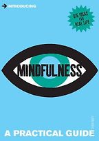 Introducing Mindfulness: A Practical Guide by Tessa Watt