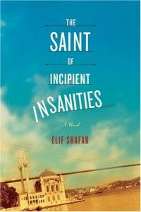 The best books on Turkey - The Saint of Incipient Insanities by Elif Shafak