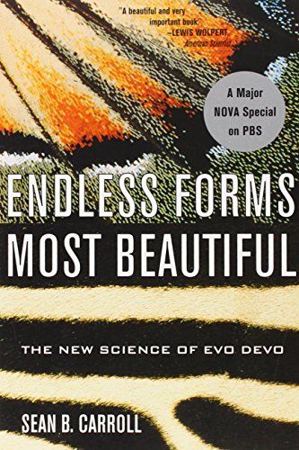 Endless Forms Most Beautiful by Sean B Carroll