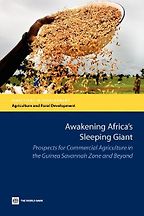 The best books on Africa through African Eyes - Awakening Giant Africa by Charles Nhova
