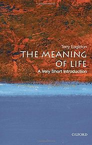 The best books on The Meaning of Life - The Meaning of Life by Terry Eagleton The best books on The Meaning of Life - The Meaning of Life by Terry Eagleton