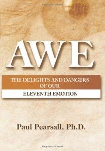 The best books on Happiness Through Negative Thinking - Awe by Paul Pearsall