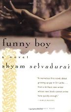 The best books on Teenage Misadventure - Funny Boy The best books on Teenage Misadventure - Funny Boy