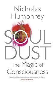 The best books on Time and the Mind - Soul Dust: The Magic of Consciousness by Nicholas Humphrey