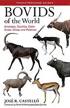 Bovids of the World: Antelopes, Gazelles, Cattle, Goats, Sheep, and Relatives by José Castelló Bovids of the World: Antelopes, Gazelles, Cattle, Goats, Sheep, and Relatives by José Castelló