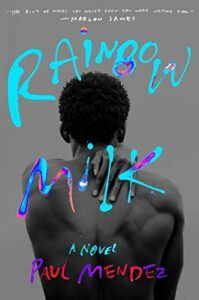 Notable Novels of Summer 2020 - Rainbow Milk by Paul Mendez