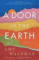 The Best 9/11 Literature - A Door In the Earth by Amy Waldman
