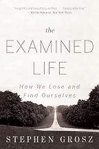 The best books on Psychosomatic Illness - The Examined Life: How We Lose and Find Ourselves by Stephen Grosz The best books on Psychosomatic Illness - The Examined Life: How We Lose and Find Ourselves by Stephen Grosz