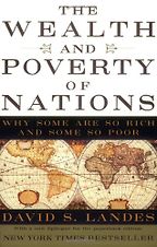 The best books on Negotiating the Digital Age - The Wealth and Poverty of Nations by David S Landes