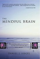 The best books on Mindfulness - The Mindful Brain: Reflection and Attunement in the Cultivation of Well-Being by Daniel Siegel