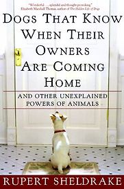 Dogs That Know When Their Owners are Coming Home by Rupert Sheldrake
