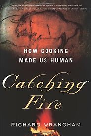 The best books on The Human Brain - Catching Fire: How Cooking Made Us Human by Richard Wrangham