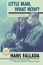 The best books on The Weimar Republic - Little Man, What Now? by Hans Fallada The best books on The Weimar Republic - Little Man, What Now? by Hans Fallada