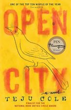 The best books on Why Cities Are Good For You - Open City by Teju Cole
