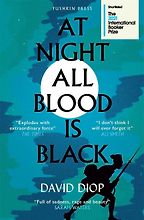 The Best First World War Novels - At Night All Blood Is Black by David Diop, translated by Anna Moschovakis