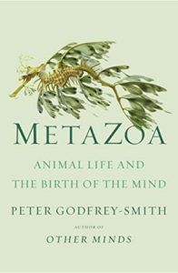 The Best Philosophy Books of 2020 - Metazoa: Animal Life and the Birth of the Mind by Peter Godfrey-Smith