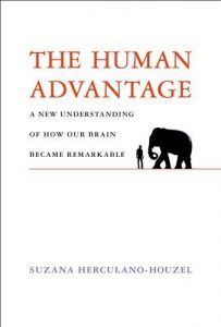 The best books on Longevity - The Human Advantage: A New Understanding of How Our Brain Became Remarkable by Suzana Herculano-Houzel