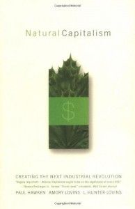 The best books on Saving the World - Natural Capitalism by Amory Lovins, L. Hunter Lovins & Paul Hawken