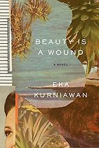 The best books on Indonesia - Beauty is a Wound by Annie Tucker (translator) & Eka Kurniawan The best books on Indonesia - Beauty is a Wound by Annie Tucker (translator) & Eka Kurniawan