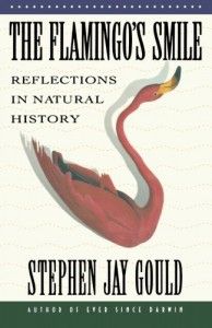 The best books on The Strangeness of Life - The Flamingo's Smile by Stephen Jay Gould