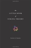 The Little Book of String Theory by Steven Gubser