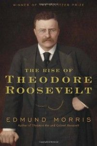 The best books on Why Economic History Matters - The Rise of Theodore Roosevelt by Edmund Morris