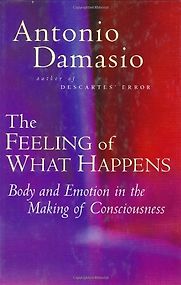 The Feeling of What Happens by Antonio Damasio The Feeling of What Happens by Antonio Damasio
