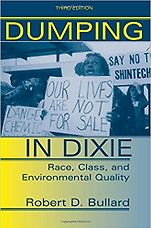 The best books on Pollution - Dumping in Dixie by Robert Bullard