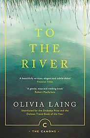The best books on Summer - To the River: A Journey Beneath the Surface by Olivia Laing