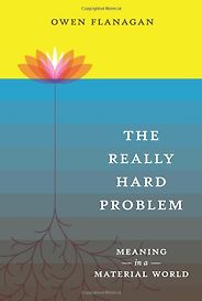 The best books on The Meaning of Life - The Really Hard Problem by Owen Flanagan