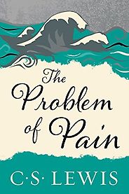 The best books on Simple Governance - The Problem of Pain by C S Lewis The best books on Simple Governance - The Problem of Pain by C S Lewis