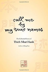 Introductions to Buddhism - Call Me by My True Names by Thich Nhat Hanh Introductions to Buddhism - Call Me by My True Names by Thich Nhat Hanh