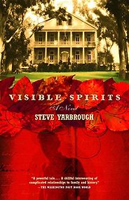 The best books on Mississippi - Visible Spirits: A Novel by Steve Yarbrough The best books on Mississippi - Visible Spirits: A Novel by Steve Yarbrough