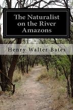 The best books on Neuroscience as a Career - The Naturalist on the River Amazons by Henry Walter Bates The best books on Neuroscience as a Career - The Naturalist on the River Amazons by Henry Walter Bates